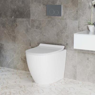 Rectangular Plastic HDPE Concealed Wall Hung Dual Flush Cistern WallHung Toilets TUSSON Quality