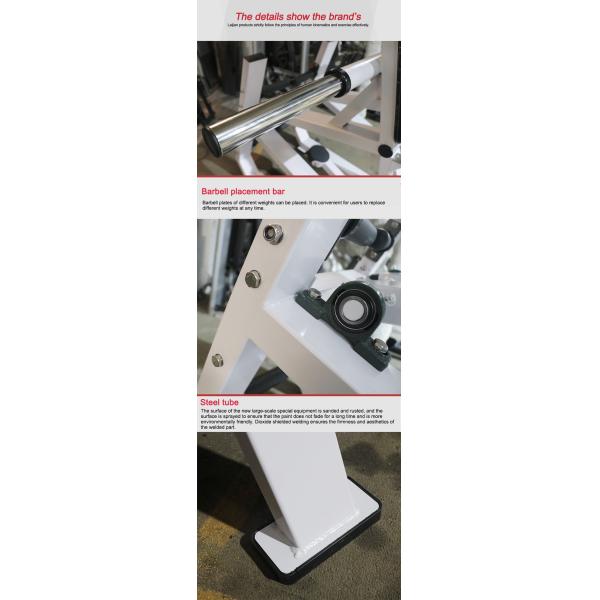 White Adjustable Commercial Grade Gym Equipment Super Squat Machine