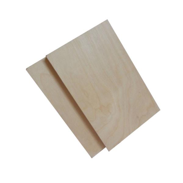 Full Hardwood Core MR 12mm Film Faced Birch Plywood