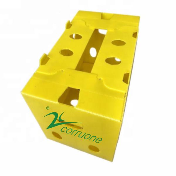 Reusable Vegetable Corrugated Boxes 2mm-11mm Thickness Yellow Green
