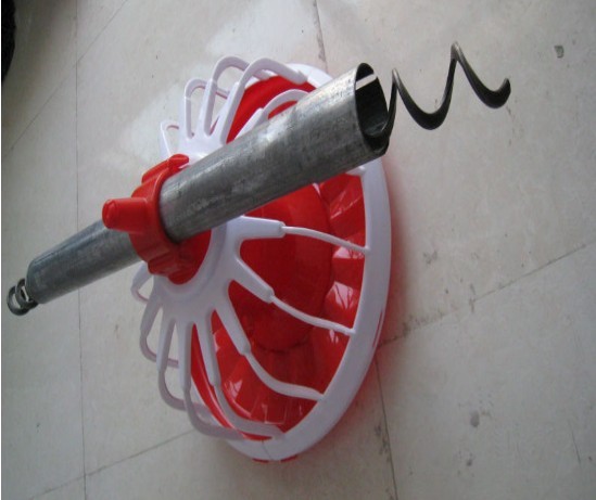 automatic broiler Chicken feeding system