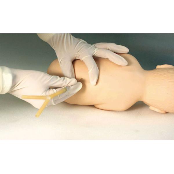 Medical Colleges Lumbar Puncture Learning Pediatric Simulation Manikin