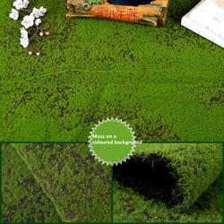 Simulation Moss Flocked Turf Plant Wall Greenery Artificial Decoration Fake Moss