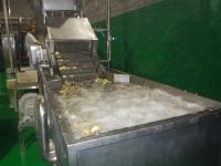 Deslocamento de Stepless da máquina de lavar do vegetal de fruto de SUS304 10TPH