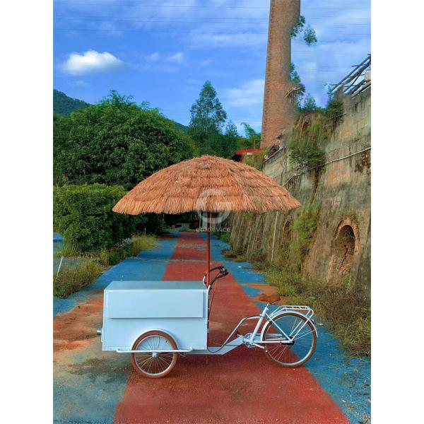 Fruit Raw Material Coffee Tricycle Ice Cream Food Cart with CE Mobile Pancake Food Truck