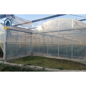 Anti-Aphid 40 Mesh Nylon Insect Proof Multi Span Greenhouse for Organic Vegetable Farming...