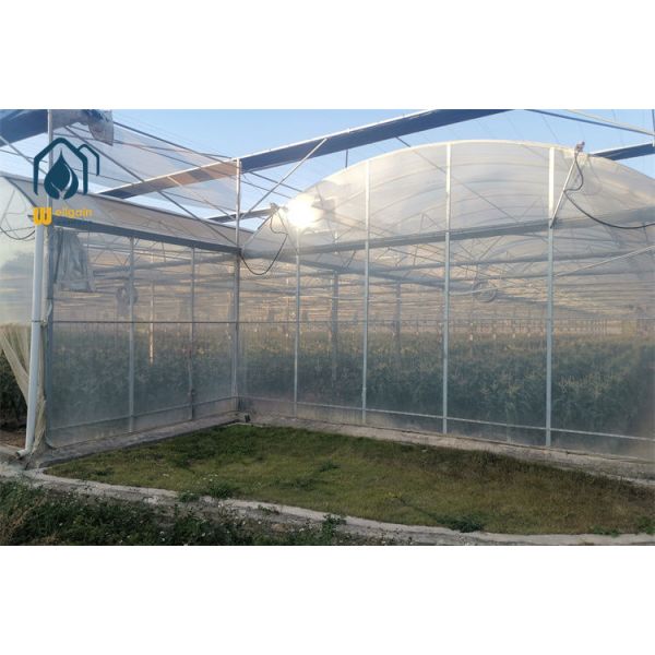 Anti-Aphid 40 Mesh Nylon Insect Proof Multi Span Greenhouse for Organic Vegetable Farming...