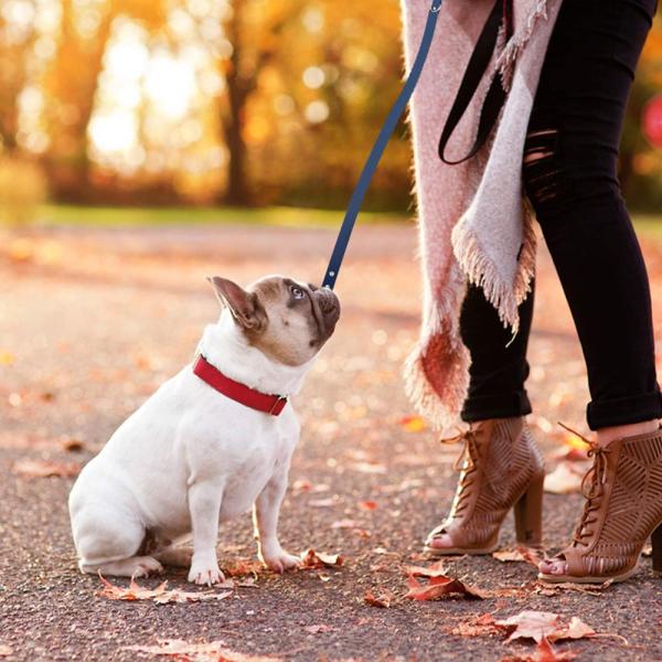 Strong Metal Buckle 4Ft Waterproof Dog Leash Personalized Coated Ultra Soft Rubber