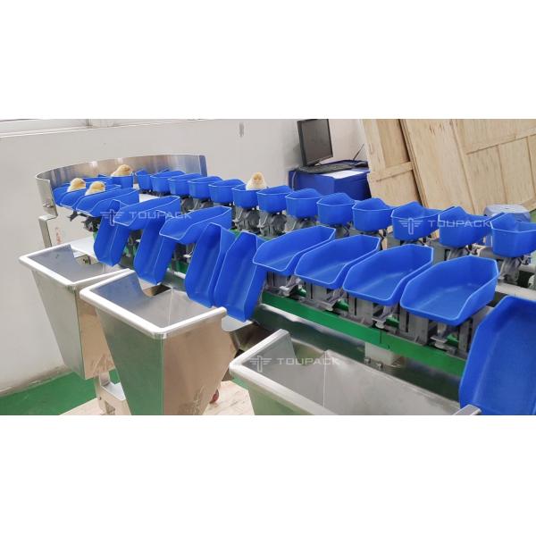 Умная автоматическая машина Weigher проверки транспортера для красного контролера веса Weigher пояса сортировщицы сосисок креветки