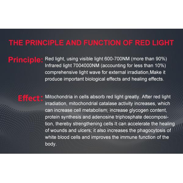 Терапия 880nm 660nm красного света машины терапией фотона пользы лошади кота собаки