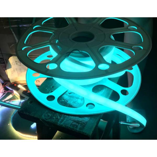 50 mètres de 12V 24V Maldives de vert de bande au néon du silicone LED