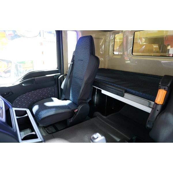 Lower Capacity Isuzu Forward Dump Tipper Truck for Small-Scale Construction Projects