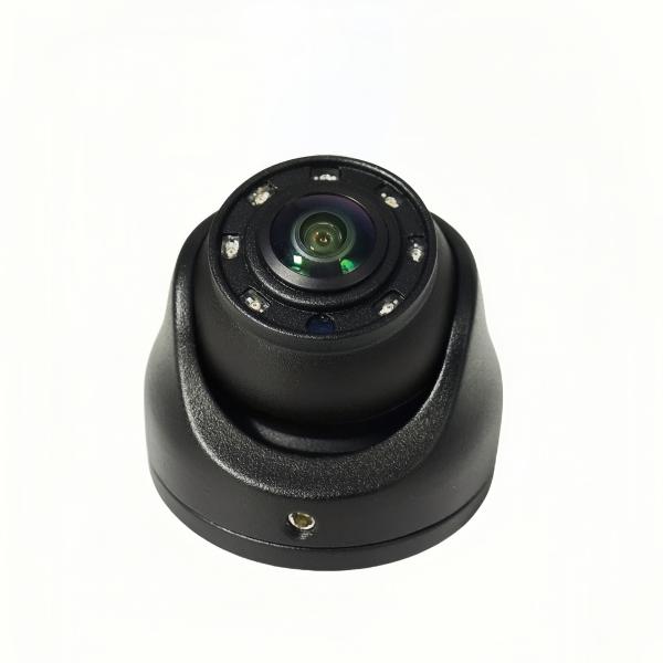 180° 1080P 2MP Waterproof IP69K Indoor/Outdoor Dome Cameras With IR Night Vision For Bus/Truck