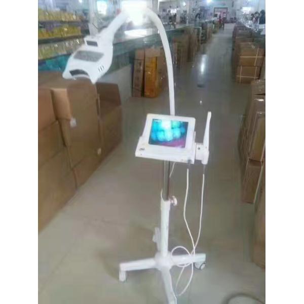 Зубы привели забеливать лампу/зубы заботят свет приведенный