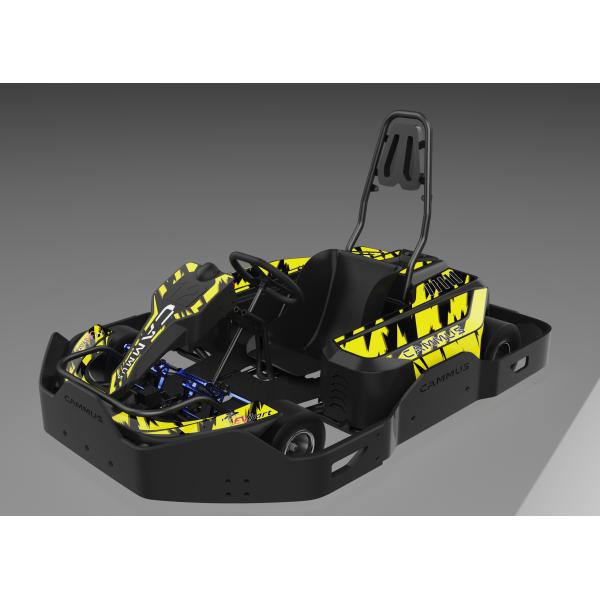 Участвующ в гонке электрическая батарея Kart педали Karting пойдите Karts для младшего взрослых детей