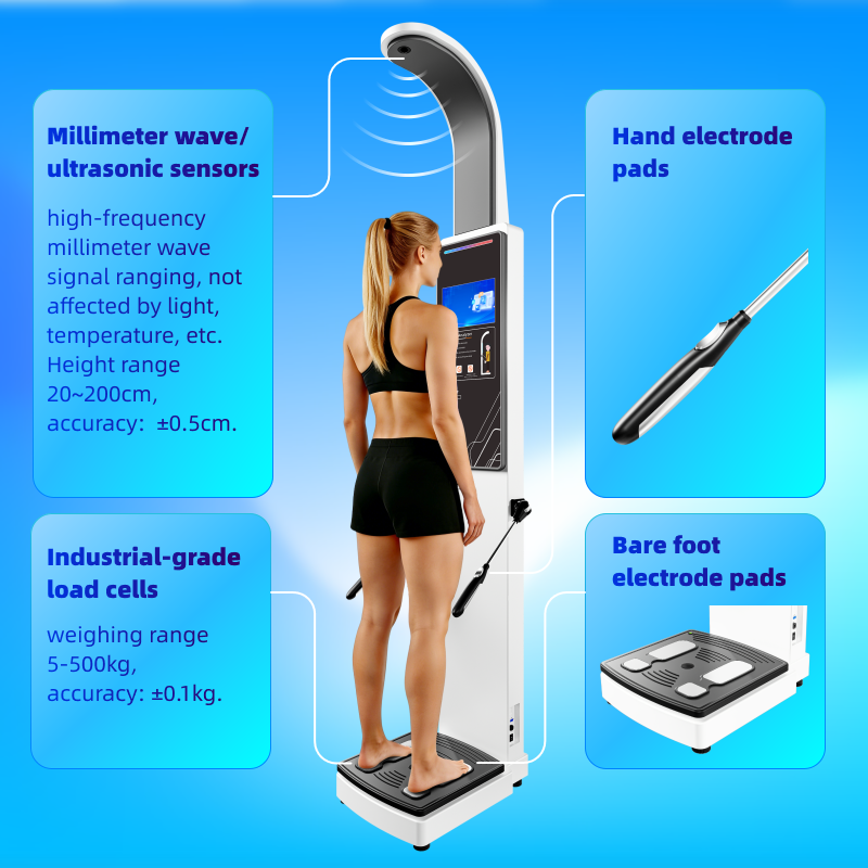 Newest Body Fat Analyzer Composite And Muscle Analyzer With Bioimpedance Machine With Printer