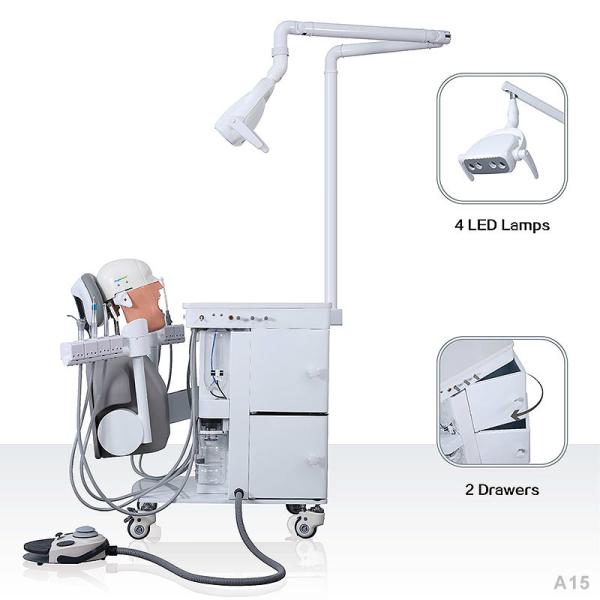 Имитатор фантомной головы школы коллежа зубоврачебный прочный для зубоврачевания