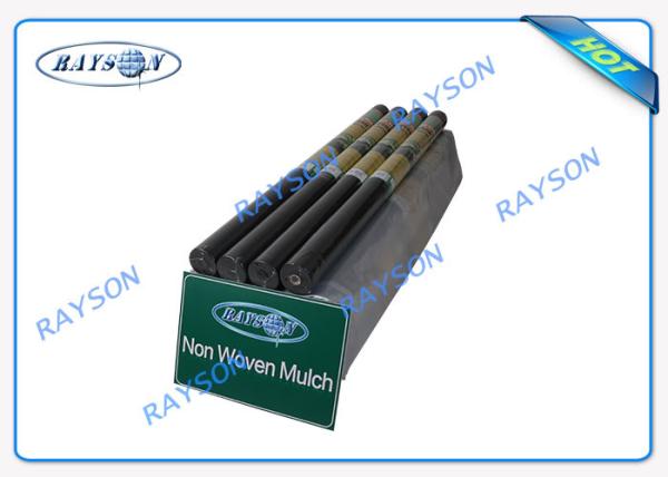 Light Weight Sunshine Protective Anti - Grass Agriculture Non Woven Cover For Strawberry Field