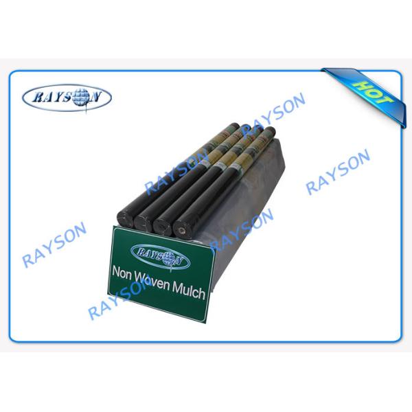 L'hiver gardent la chaleur/agriculture non Wover d'engrais cultivant la couverture végétale de jeune plante