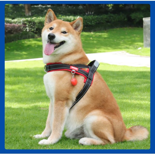 Escape Proof Waterproof Dog Harness Anti Breakaway Medium Dog Harness For Training