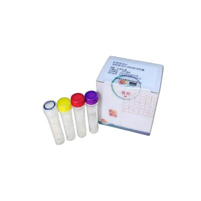Ovine-Derived Component Real-Time PCR Kit
