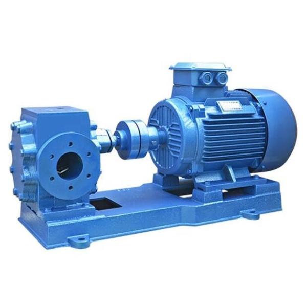 29m3/H Hydraulic Lobe Pump