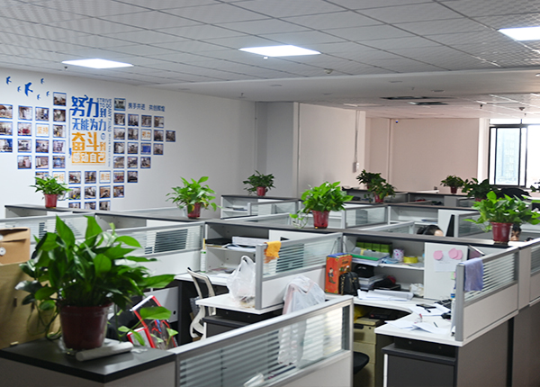 2-4 Floors Indoor &Outdoor Electric Residential Cheap Passenger Elevator Lift Small Dumbwaiter Home Lift for Sale