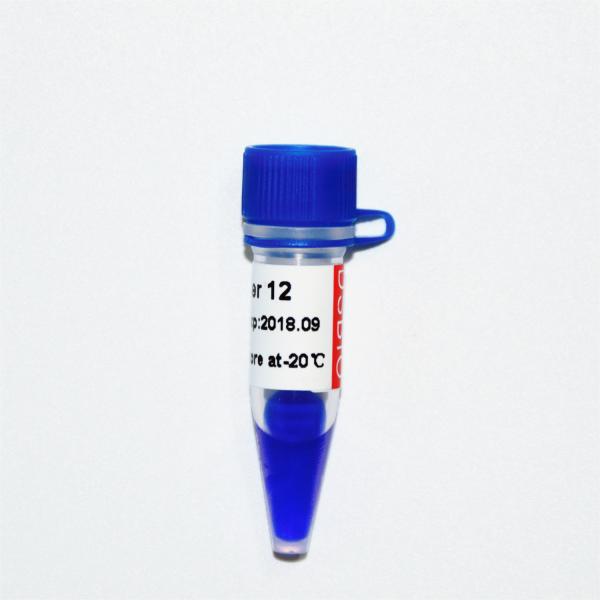 Escada M1141 do ADN do marcador 12 (50μg) /M1142 (5×50μg)