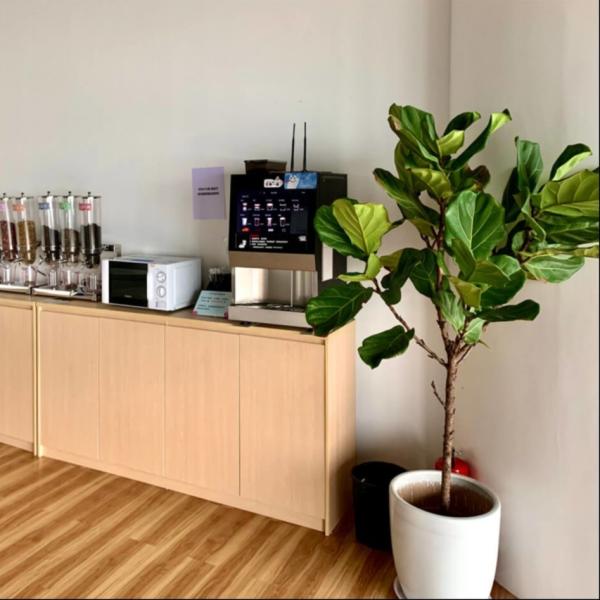 10 Flavor Tabletop Bean To Cup Coffee Vending Machine With 3 Canisters