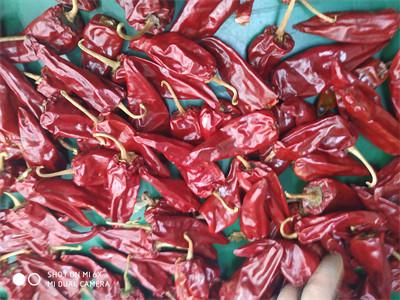 5000SHU Mild Dried Chilies Stemmed Grade A Dried Red Chile Pods