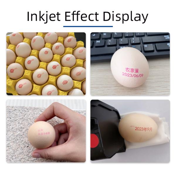 Factory Price Food Grade Egg Red for Ink Cartridge for Egg Inkjet Printer Color Food Grade Date Printing for Ink