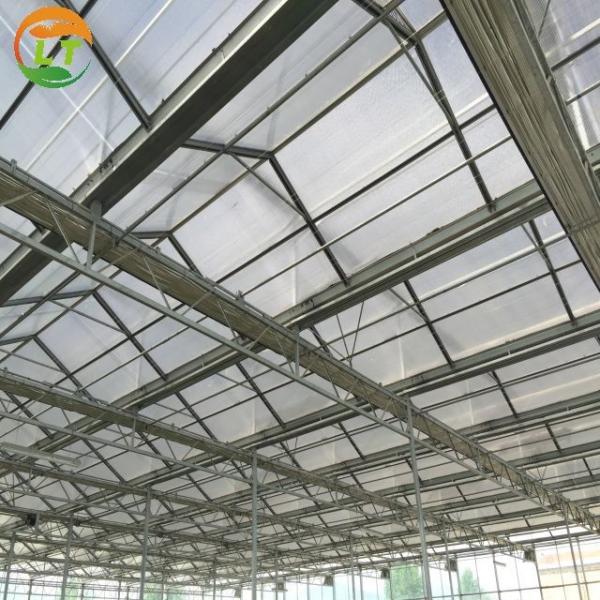 Venlo Polycarbonate Greenhouse for Flower and Vegetable Growing in Customized Color