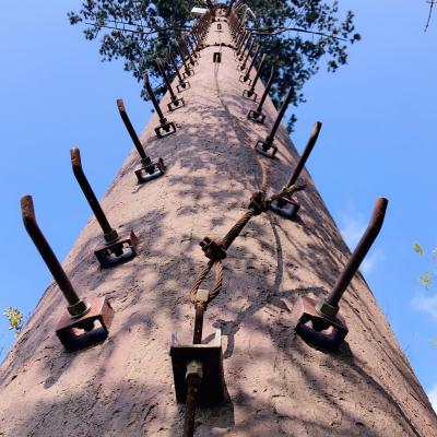 Telecomunicação artificial Q345 Monopoles de aço das árvores