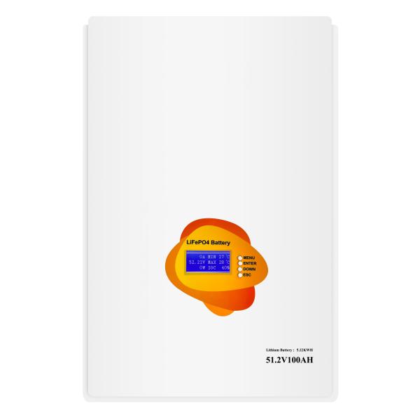 Portable Wall Mount LiFePO4 Battery Pack with LCD Display for Off-Grid Solar Power System