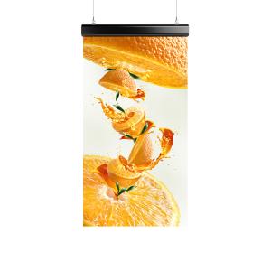 P2.5/P3.91/P6.25 SculptStone Holographic Invisible Screen Poster Series Huge Size 55