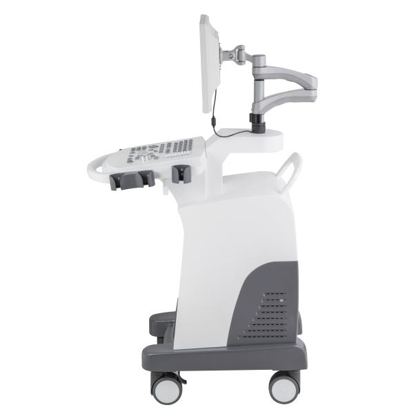 Trolley Ultrasound Machine Echo Price