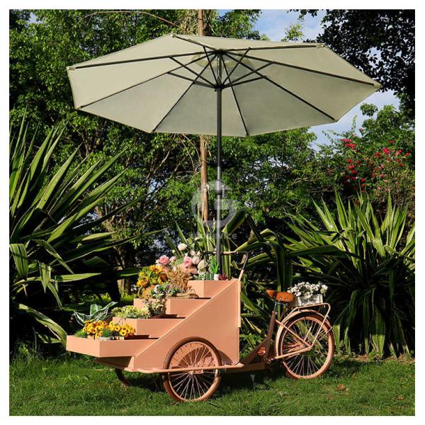 Outdoor Food Vending Cart with Soybean Raw Material and Three Wheels Electric Cargo Bike
