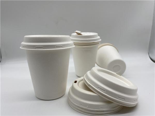 Copos e tampas biodegradáveis amigáveis de Eco 12oz 90x97mm