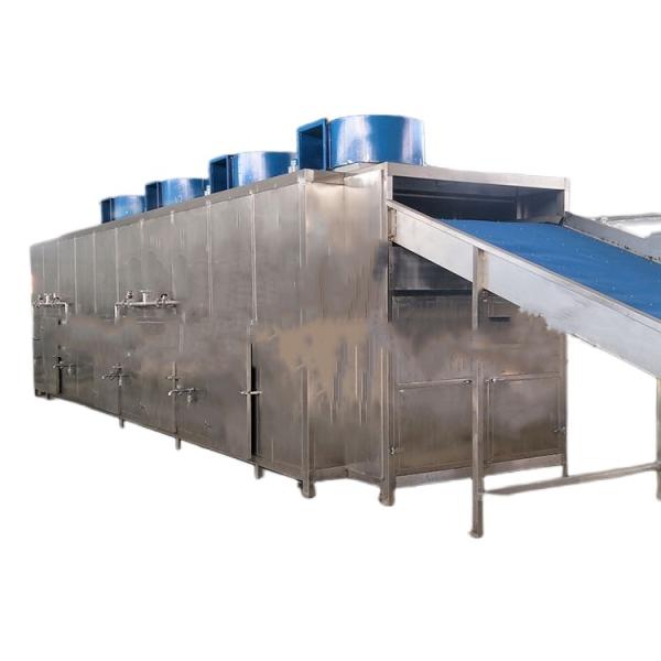 Continuous Industrial Conveyor Mesh Belt Dryer For Vegetable Seaweed Herb Coconut