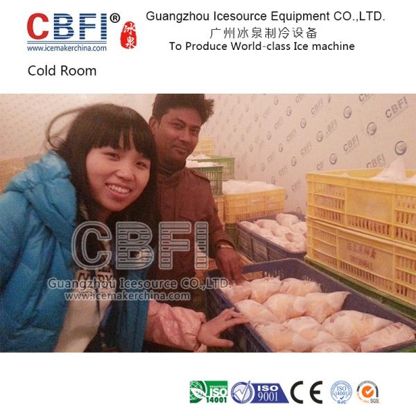 Walk In Cold Storage Blast Chiller Freezer With Color Steel , Stainless Steel Panels