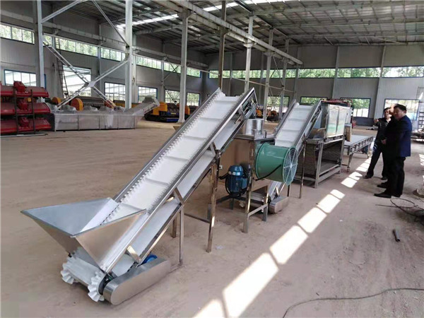 garlic peeling line, big capacity garlic peeling machine, garlic peeler