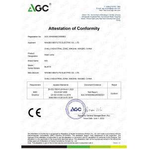 Ningbo Bestlite Electric Co., Ltd Сертификации