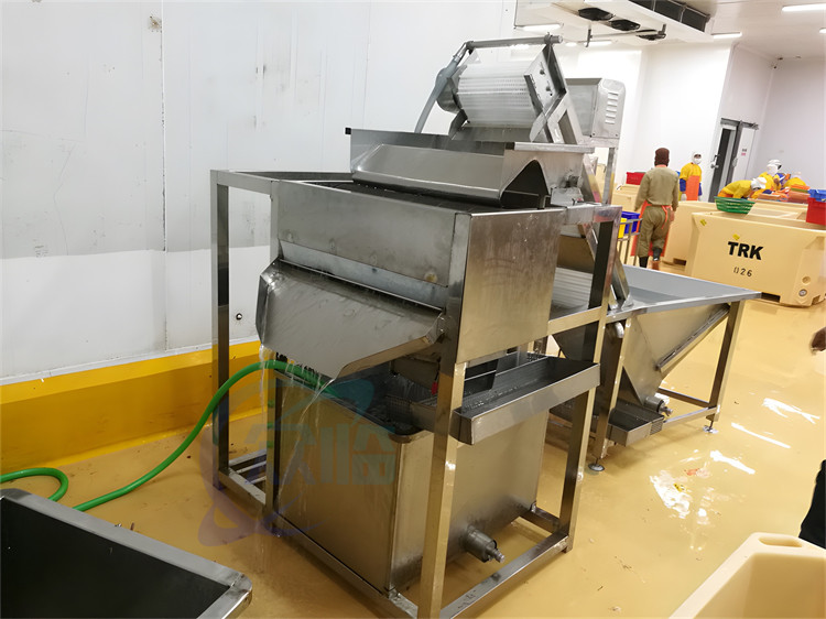 Stainless Steel 304 Shrimp Cleaning Machine 380v 50Hz Shrimp Waste Separator