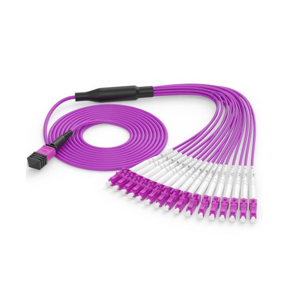 OM4 MPO MTP Fiber Patch Cord LC SC Connector 8 12 24 Ядро Розовый Фиолетовый LSZH