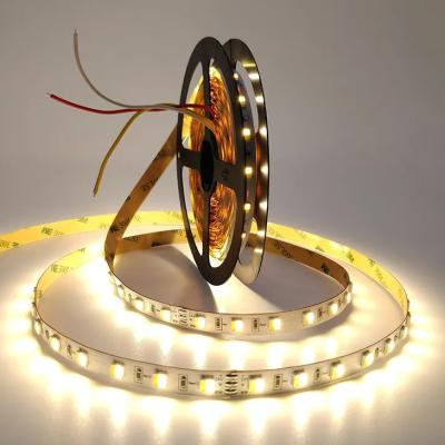 DC 24V Adjustable Color Temperature LED Strip Flexible 5050 CW WW Dual White