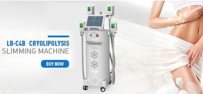 beauty salon new slimming technology fat-freezing cryolipolysis slimming machine new slimming technology machine