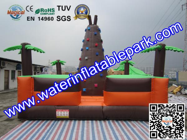 Giant  Inflatable Sport Games , Inflatable Climbing Wall 6M x 6M