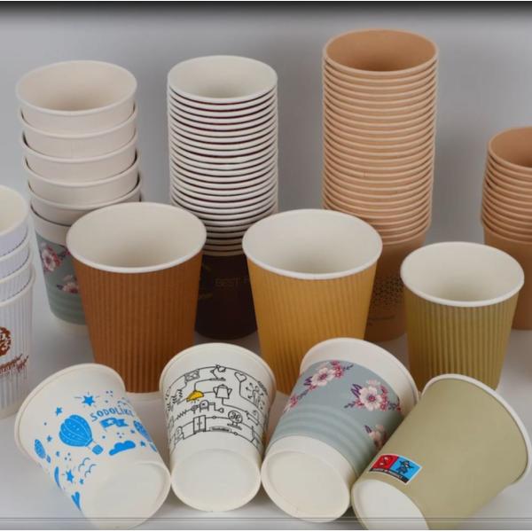 OEM Custom Printed Logo Biodegradable Disposable Hot or Cold Drinking Foamed Paper Cup