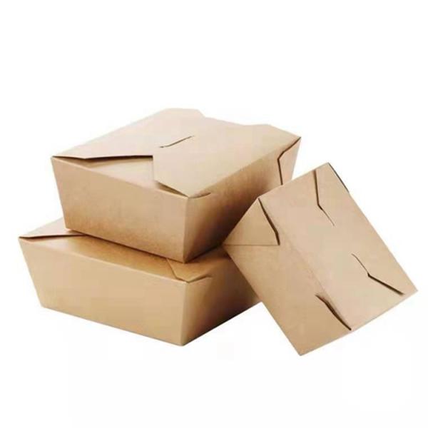 OEM Disposable Box Packaging For Food Custom Print Box Biodegradable