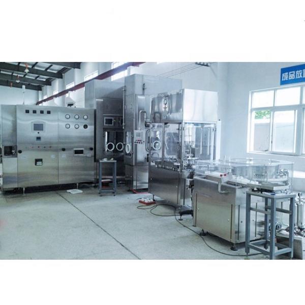 Automatic Combi Vial and Ampoule Washing Sterilizing Drying Filling Capping